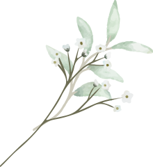 event management in goa