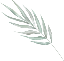 event management companies in goa